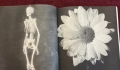 Polaroids from the Dead, снимка 12