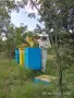Продава се работещо пчеларско стопанство - област Пловдив, снимка 3