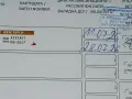 Продавам кученца Курцхаар , снимка 6