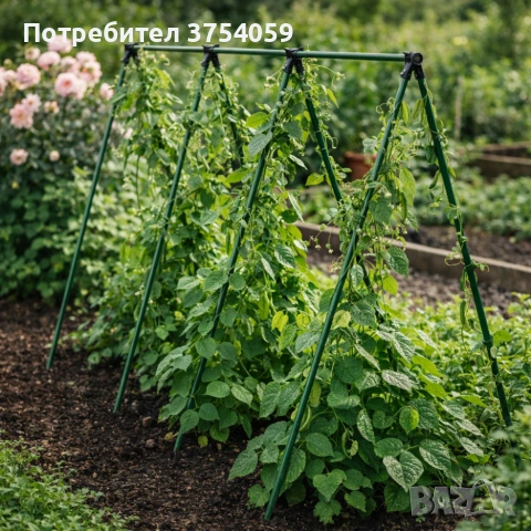 Градинска рамка тип пергола - издръжлива и устойчива - 4 броя, снимка 3 - Градински мебели, декорация  - 55163738
