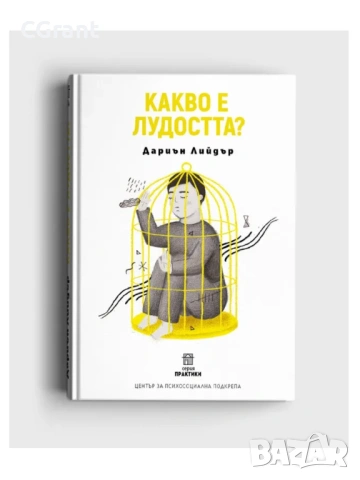 Какво е лудостта? | Дариън Лийдър , снимка 2 - Други - 54430680