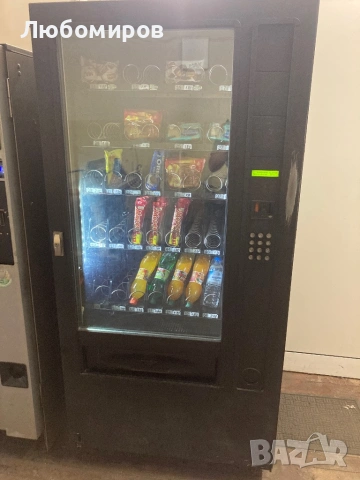 Зануси спринг