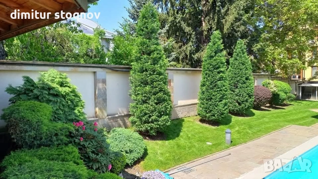 Озеленяване на дворове и градини, снимка 3 - Други услуги - 54497896