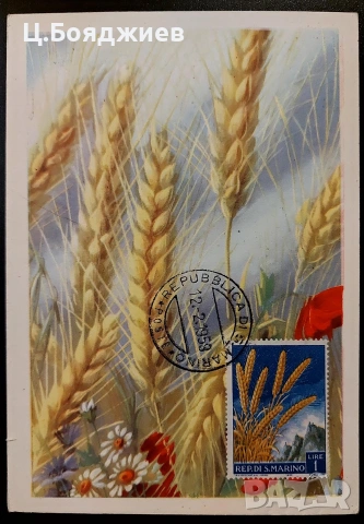 Карти-максимум, Италия, снимка 4 - Филателия - 55221637