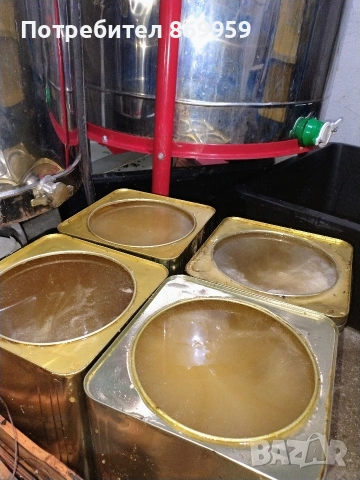 Продавам пчелен мед , снимка 3 - Пчелни продукти - 54728363