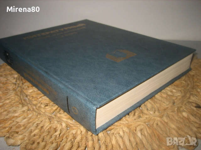 Литературньий енциклопедичесский словарь - 1987 г. , снимка 2 - Чуждоезиково обучение, речници - 53977738