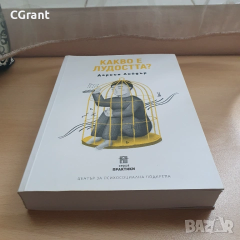 Какво е лудостта? | Дариън Лийдър , снимка 4 - Други - 54430680