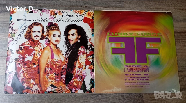 Грамофонни плочи -  DJ СИНГЛИ 12 maxi single, снимка 16 - Други - 54930125
