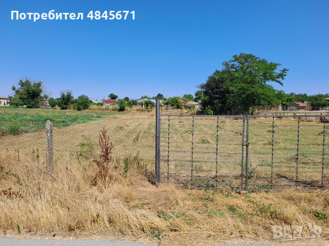 Продавам дворно място в село Царевец  , снимка 4 - Парцели - 54765953