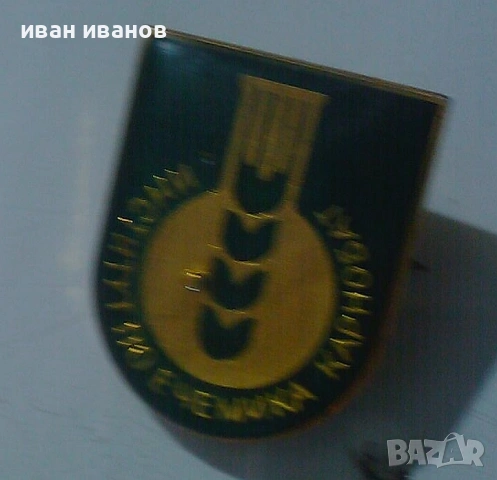 значка институт по ечемика Карнобат 