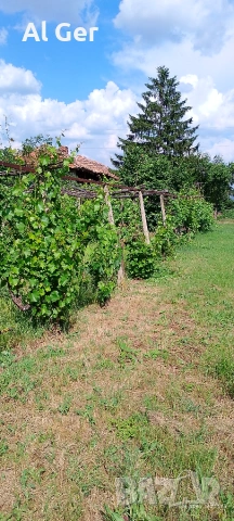 Собственик продава къща в село Златар , снимка 14 - Къщи - 54988924