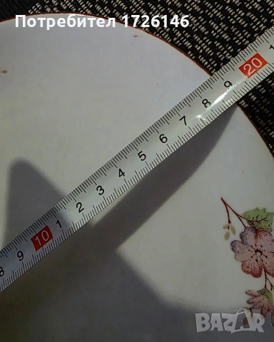 Порцеланова чиния на Дянко Стефанов , снимка 4 - Чинии - 54351809