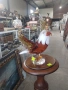 ПРОДАВАМ УНИКАЛНА ФИГУРА НА ОРЕЛ МОРАНО , снимка 4