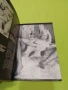 Еротична книга, снимка 2