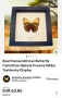 Страхотен сет Рядки видове истински пеперуди , снимка 4
