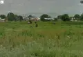 Поземлен имот неурегулиран, снимка 3