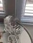 *Schott-swiesel Crystal* комплект от 5 бр. чаши за аперитив, снимка 8