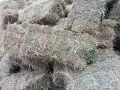 Бали сено и люцерна , снимка 3