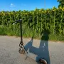 Електрическа тротинетка D8 Pro 350W | 31 км/ч, до 30 км пробег, APP, нова, снимка 10