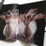 TCHAIKOVSKY – THE BALLETS (Opus Arte, Royal Ballet, Royal Opera House), снимка 9