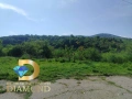 Парцел в село Брягово, обл. Пловдив, снимка 3