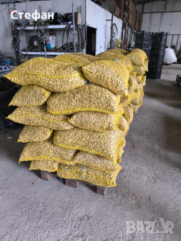 Продавам фъстъци , снимка 2 - Други - 54683608
