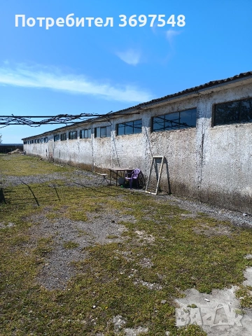 продават се халета, снимка 4 - Производствени сгради - 54308171