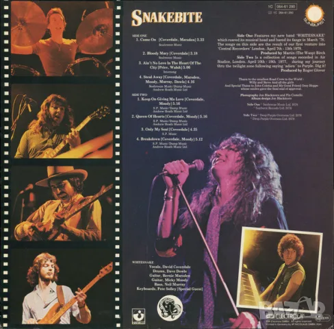 Грамофонни плочи Whitesnake, цени в обявата, снимка 2 - Грамофонни плочи - 47826278