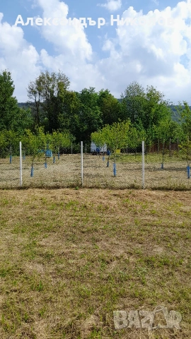 Продава се парцел в село Пецовци