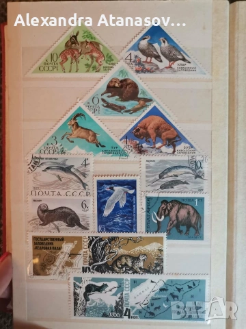 Класьори с пощенски марки, снимка 14 - Филателия - 54935499