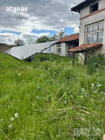Косене и поддръжка на тревни площи 