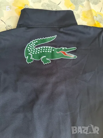 Детски  Екип LACOSTE , снимка 5 - Детски комплекти - 55486274