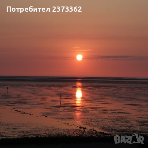 Sony QX100 - фото модул /камера , снимка 12 - Фотоапарати - 54374832