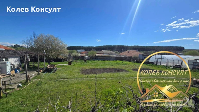 Едноетажна къща в село Бял извор, община Опан, снимка 6 - Къщи - 54189882