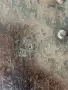 Царска Военна Лопатка Шанцов Инструмент, снимка 8