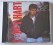 Andrew Ridgeley, Chalk Cirkle, Corey Hart, Cutting Crew , снимка 5