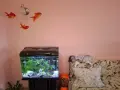 Напълно оборудван аквариум със стойка, риби, растения, декорации, храна и препарати , снимка 1