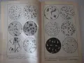 Книга "Отровите в природата - Веселин Денков" - 296 стр., снимка 4