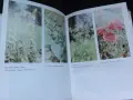 Две книги за билките в България, снимка 4
