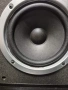 Pioneer -Hi-Fi Колони, снимка 6