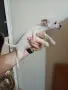 пинчер чихопинчер, снимка 2