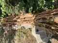 Лампи от дървен материал, снимка 2