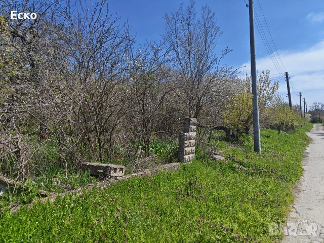 Парцел в с.Ведрина 1320м2. Ток, вода, регуляция. Идеально тихо и зелено място, орехова гора., снимка 9 - Парцели - 53327639