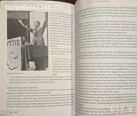 Irgun. Revisionist Zionism 1931-1948, снимка 16 - Художествена литература - 54167948