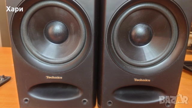 Тонколони Technics SB-CH7, снимка 3 - Тонколони - 54663501