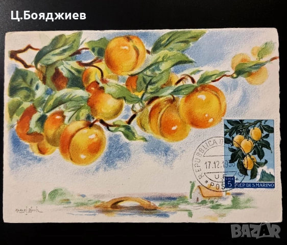 Карти-максимум, Италия, снимка 3 - Филателия - 55221637