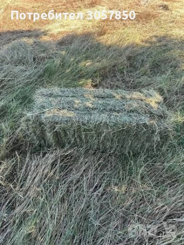 правоъгълни бали от сено 