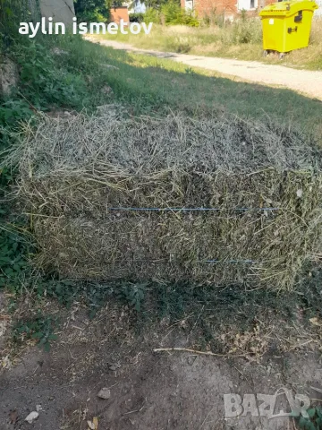 Бали Люцерна..., снимка 3 - За селскостопански - 55326055