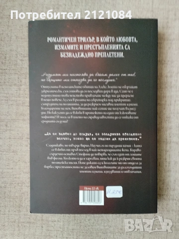Порочна мисия / Бистра И. Георгиева , снимка 3 - Художествена литература - 55079311