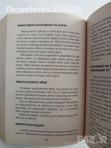 Домашен гадател, снимка 2 - Езотерика - 54593410